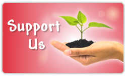 Support Us